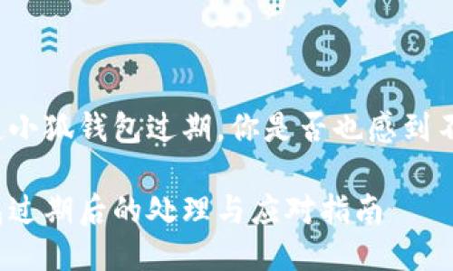 每當(dāng)提起小狐錢包過期，你是否也感到不知所措？

小狐錢包過期后的處理與應(yīng)對(duì)指南