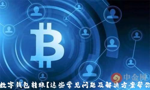 
沒有收到數(shù)字錢包轉賬？這些常見問題及解決方案幫你找回資金