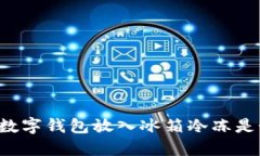 為什么將數(shù)字錢包放入冰