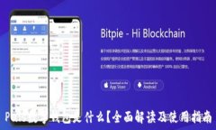   Puls數(shù)字錢包是什么？全