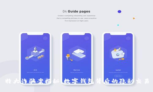 特大詐騙案揭秘：數(shù)字錢(qián)包背后的隱秘交易