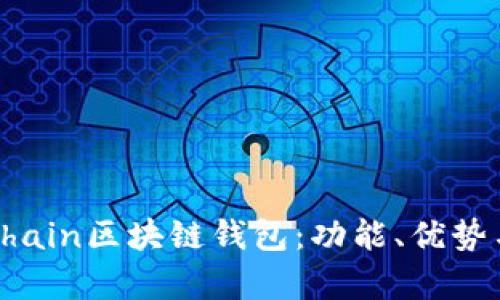 全面解析Chain區(qū)塊鏈錢(qián)包：功能、優(yōu)勢(shì)與應(yīng)用場(chǎng)景