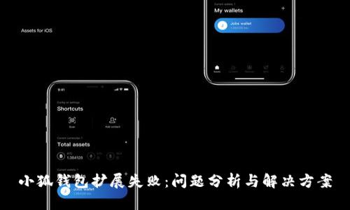 小狐錢包擴(kuò)展失?。簡栴}分析與解決方案