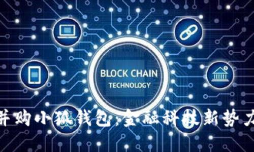 俄儲行并購小狐錢包：金融科技新勢力的崛起