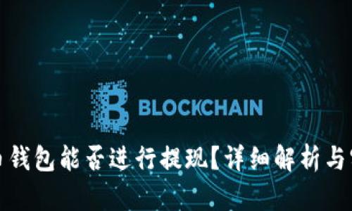 加密貨幣錢(qián)包能否進(jìn)行提現(xiàn)？詳細(xì)解析與實(shí)用指南