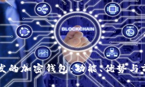 國(guó)內(nèi)開(kāi)發(fā)的加密錢包：功能、優(yōu)勢(shì)與前景分析