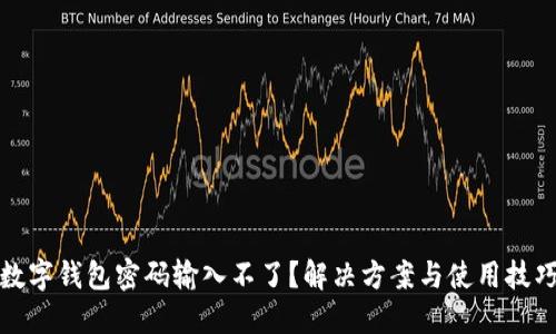 數(shù)字錢包密碼輸入不了？解決方案與使用技巧