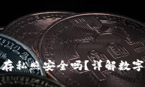 小狐錢包保存私照安全嗎？詳解數(shù)字資產(chǎn)安全性