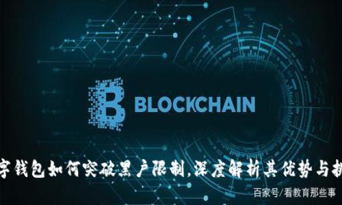 數(shù)字錢包如何突破黑戶限制，深度解析其優(yōu)勢與挑戰(zhàn)
