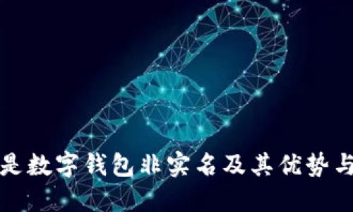 什么是數(shù)字錢包非實名及其優(yōu)勢與挑戰(zhàn)