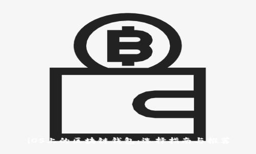 iOS上的區(qū)塊鏈錢包：選擇指南與推薦