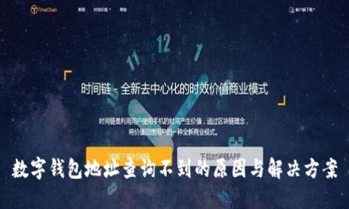 數(shù)字錢(qián)包地址查詢(xún)不到的原因與解決方案