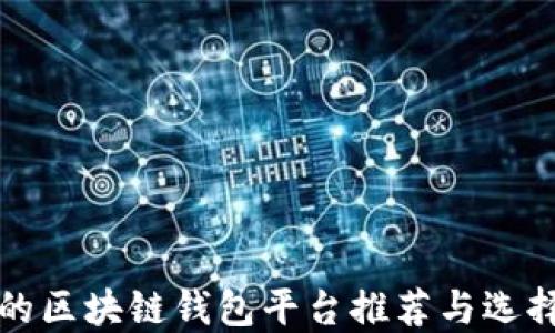 
好用的區(qū)塊鏈錢包平臺(tái)推薦與選擇指南