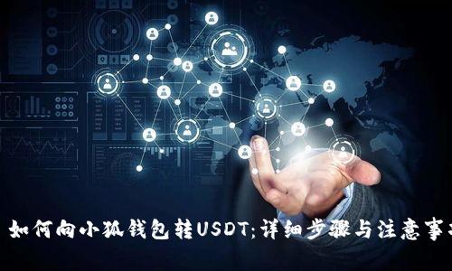 : 如何向小狐錢包轉(zhuǎn)USDT：詳細(xì)步驟與注意事項