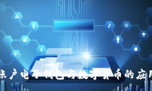 :
公司賬戶(hù)電子錢(qián)包與數(shù)字貨幣的應(yīng)用前景