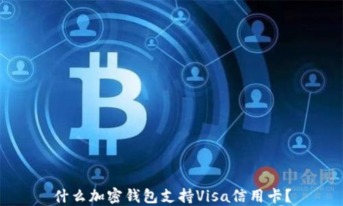 
什么加密錢包支持Visa信用卡？