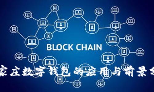 石家莊數(shù)字錢包的應用與前景分析