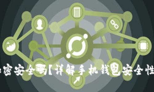 手機(jī)錢包加密安全嗎？詳解手機(jī)錢包安全性的方方面面