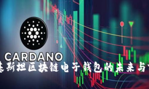 巴基斯坦區(qū)塊鏈電子錢包的未來(lái)與前景