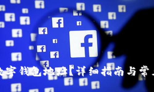 如何設(shè)置數(shù)字錢(qián)包地址？詳細(xì)指南與常見(jiàn)問(wèn)題解答