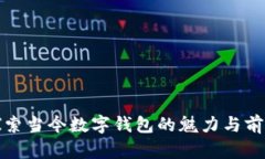 探索當(dāng)今數(shù)字錢(qián)包的魅力