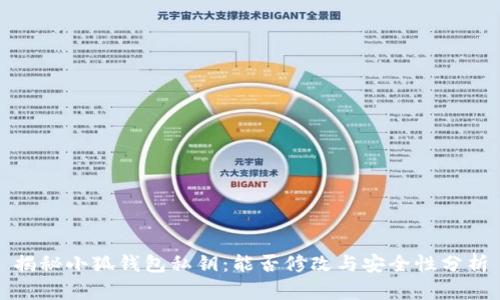 揭秘小狐錢包私鑰：能否修改與安全性分析