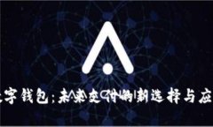 dcep數字錢包：未來支付的