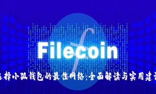 選擇小狐錢包的最佳網(wǎng)絡(luò)：全面解讀與實(shí)用建議