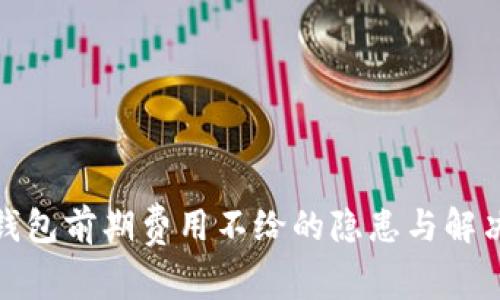 數(shù)字錢包前期費用不給的隱患與解決方案