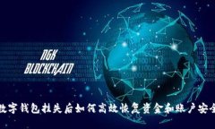 數(shù)字錢包掛失后如何高效