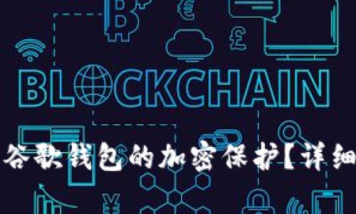 如何解除谷歌錢包的加密保護(hù)？詳細(xì)步驟解析