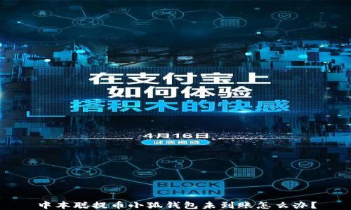 
中本聰提幣小狐錢包未到賬怎么辦？