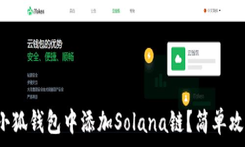   
如何在小狐錢包中添加Solana鏈？簡單攻略指南！