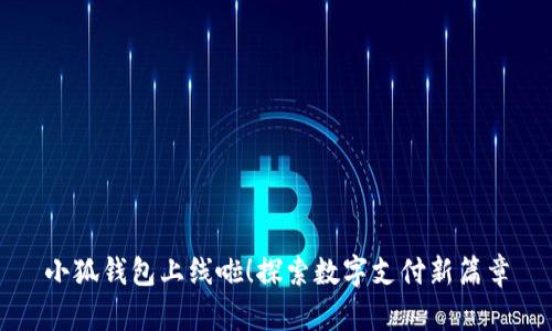 小狐錢包上線啦！探索數(shù)字支付新篇章