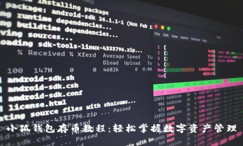 小狐錢包存幣教程：輕松掌握數(shù)字資產(chǎn)管理