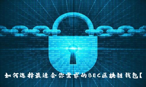 如何選擇最適合你需求的BEC區(qū)塊鏈錢包？