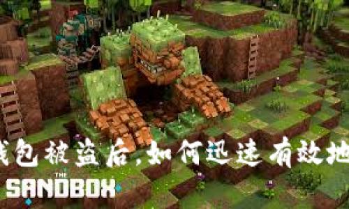 小狐錢包被盜后，如何迅速有效地處理？