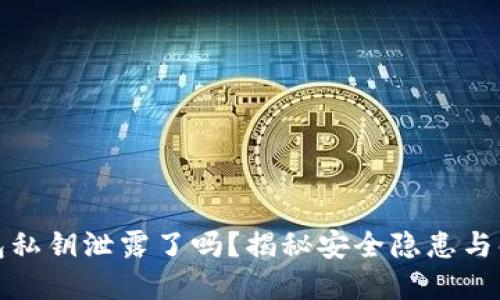 小狐錢(qián)包私鑰泄露了嗎？揭秘安全隱患與解決方案