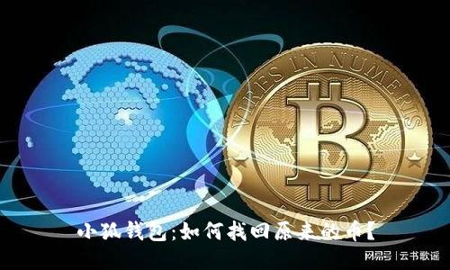 小狐錢包：如何找回原來(lái)的幣？