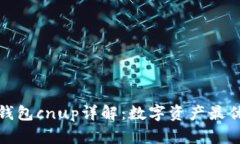 小狐錢(qián)包c(diǎn)nup詳解：數(shù)字資